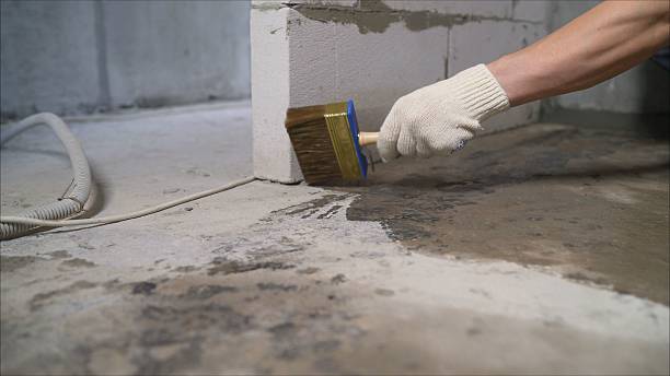 24/7 Emergency Waterproofing experts in Springfield, GA